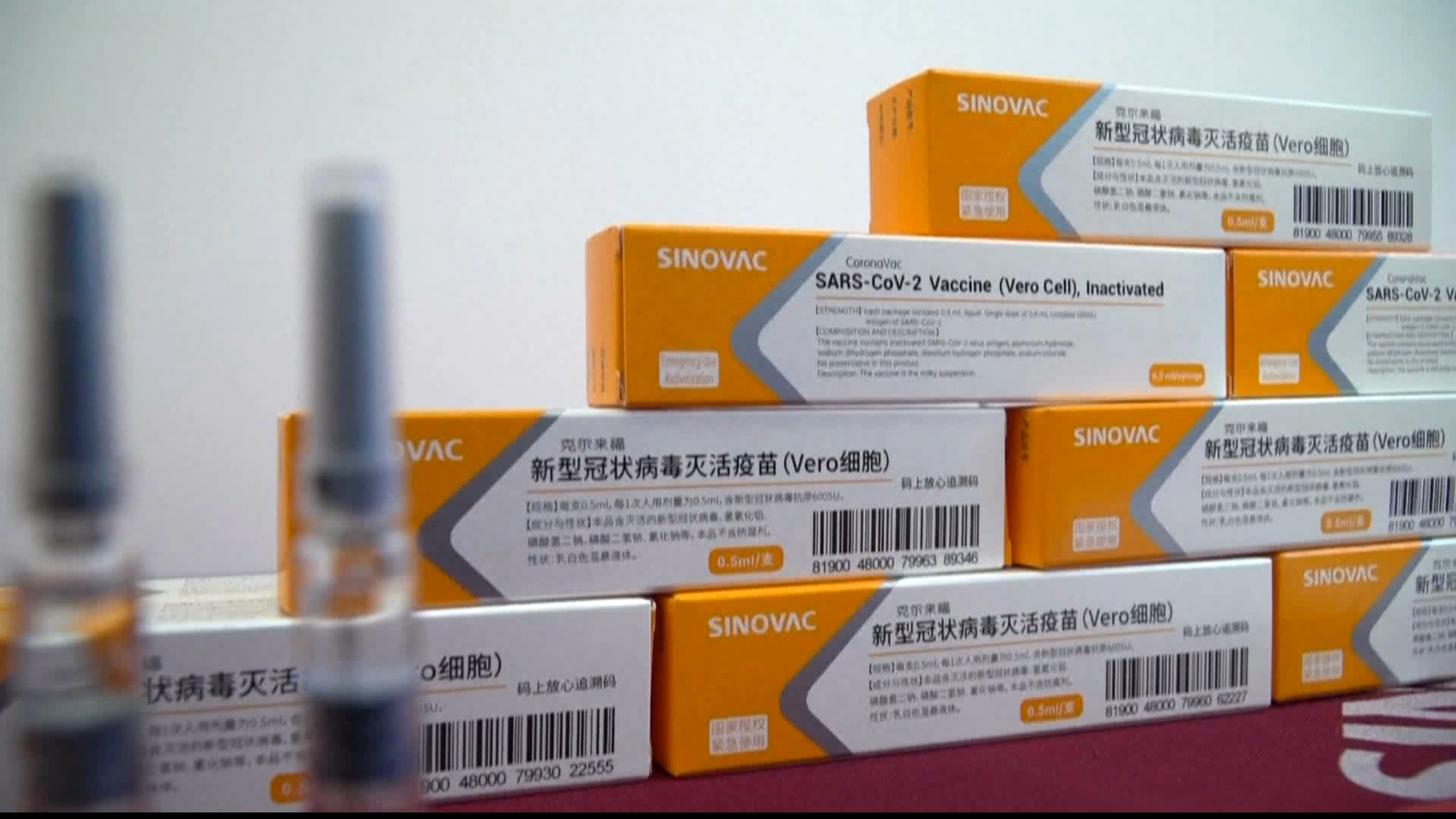 Se aguarda firma de formularios de Sinovac por parte de Salud para llegada de 500 mil vacunas anti-COVID, afirma Cámara