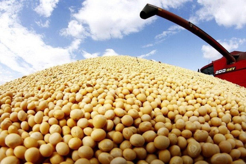 Aumento de precio internacional de soja ayudará a tranquilizar finanzas del campo, destacan productores