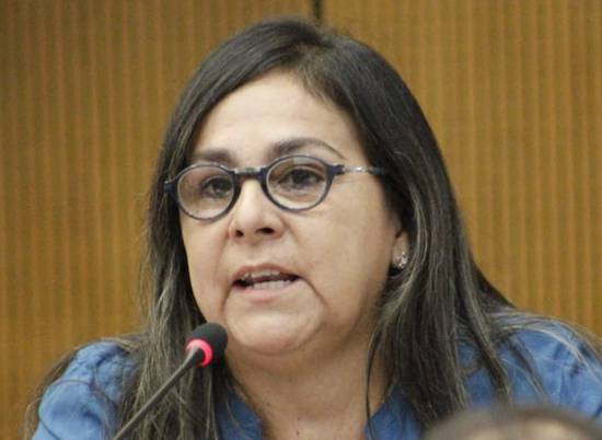 Senadora Georgia “Nani” Arrúa: Con modificación de proyecto de ley “se plantean cosas violatorias de la Constitución”