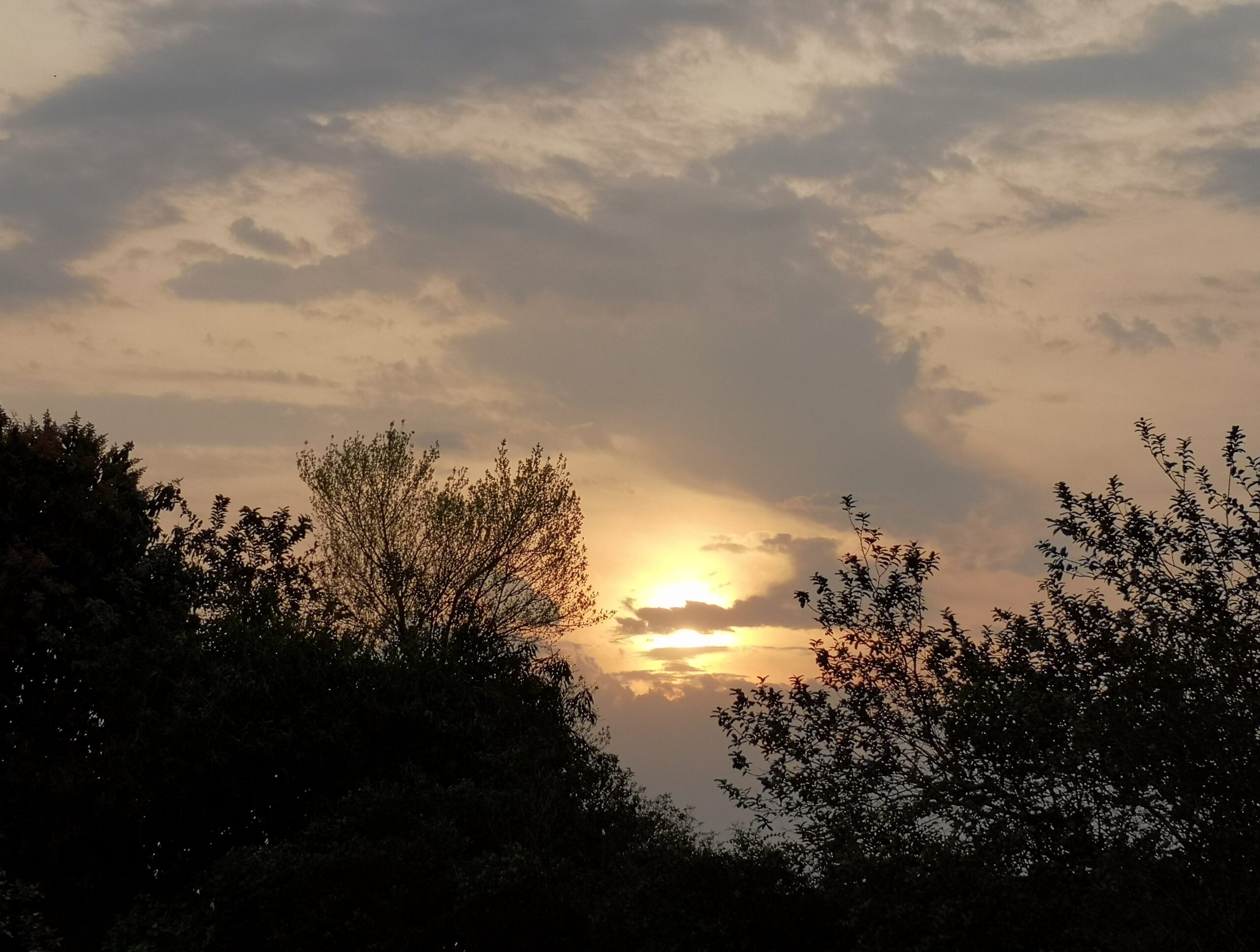 Meteorología anuncia martes fresco a cálido y con lluvias en el norte y este
