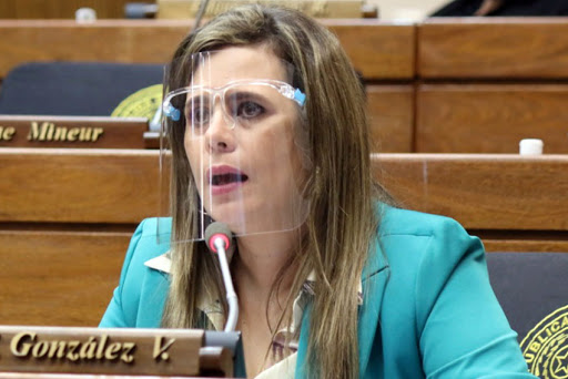 Pese a veto, diputada afirma que es muy probable que entre a regir ley de “autoblindaje”