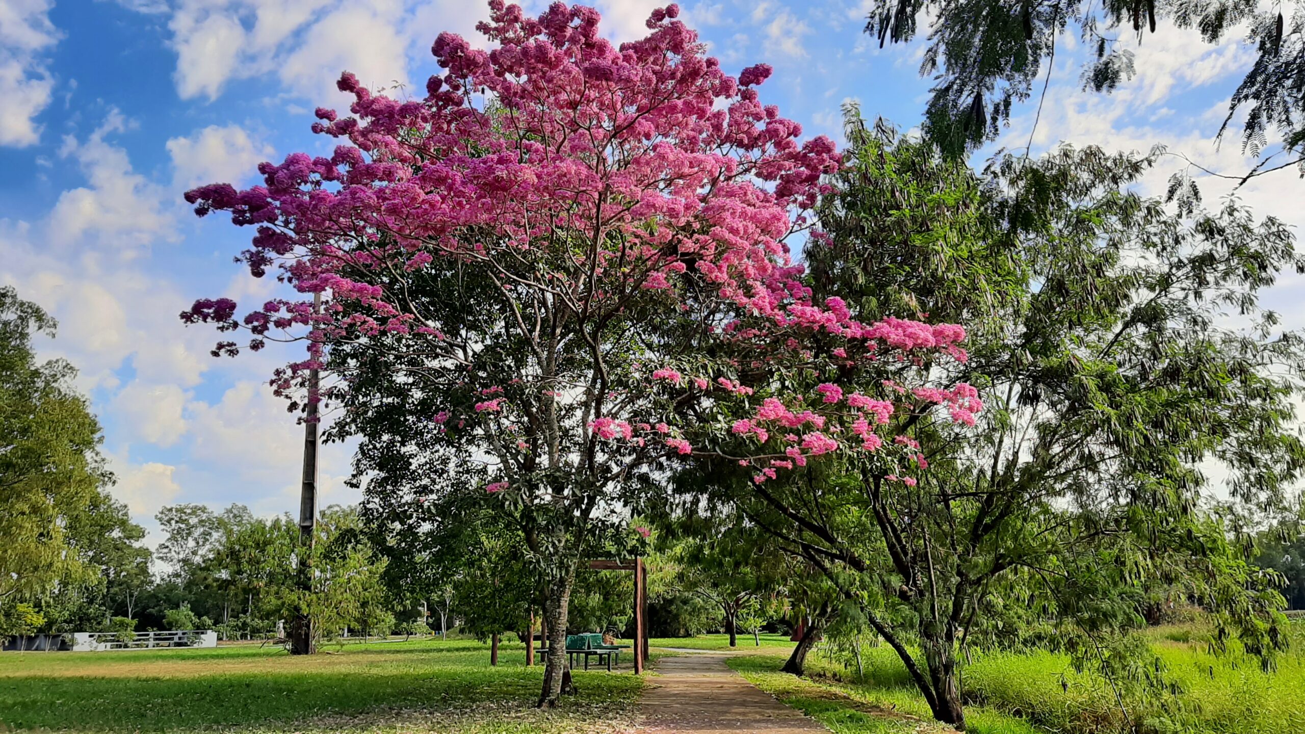 Viernes con descenso de temperatura