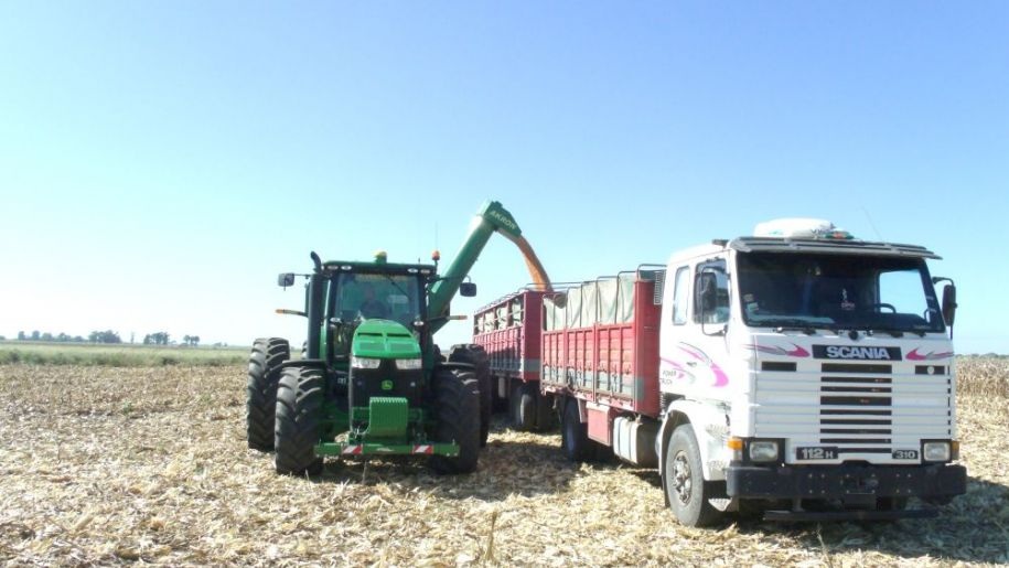 DINATRAN tendrá registro de empresas intermediarias entre camioneros y agroexportadoras