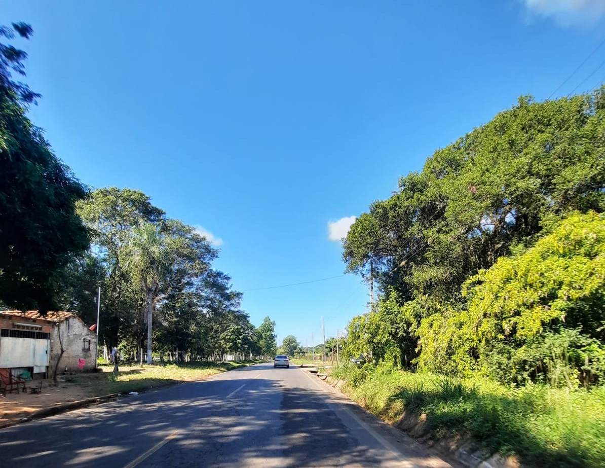 Meteorología anuncia domingo caluroso y soleado