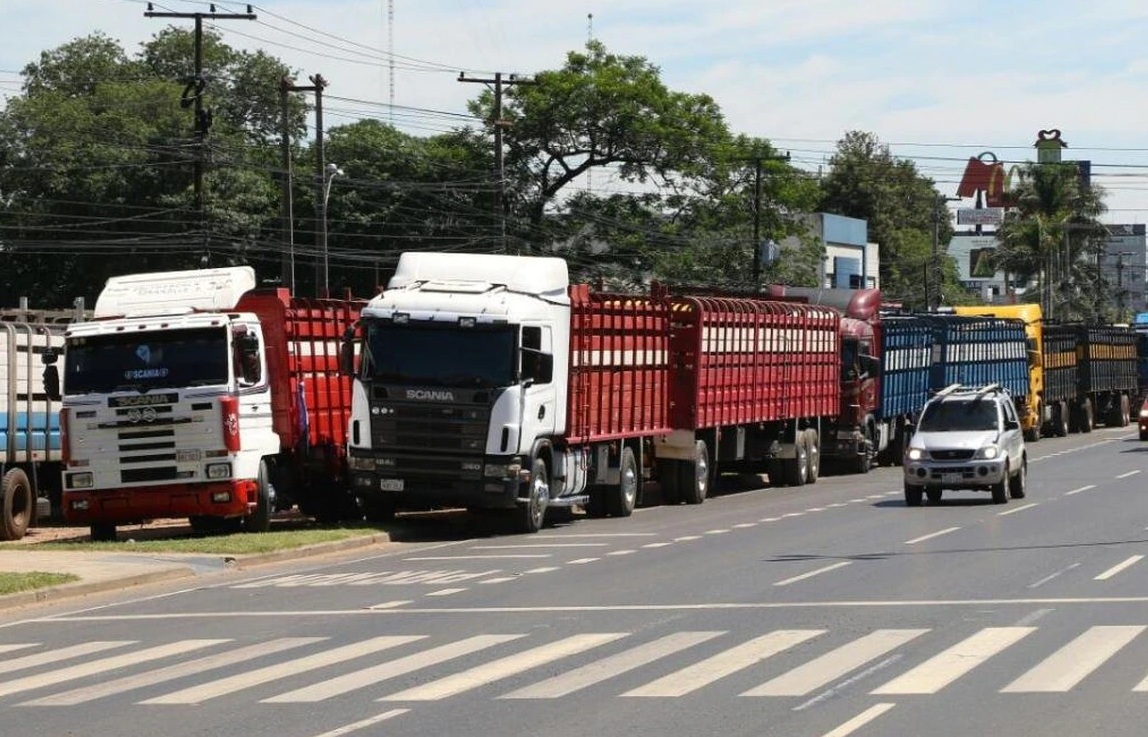 Transportistas de ganado sugieren que camioneros prioricen “formalización” antes que fijación de precio de flete