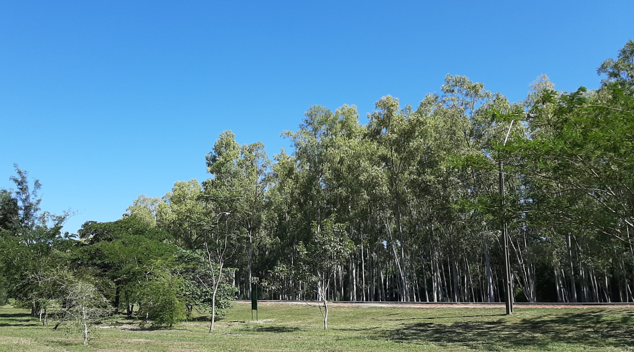 Pronostican domingo con ambiente cálido y soleado