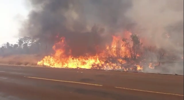 Hay más de 11.000 focos de calor en las últimas 24 horas, según el último reporte de Infona