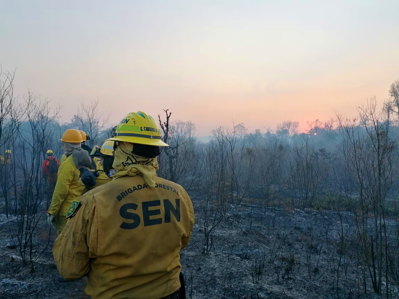60% del Parque Nacional Cerro Corá ya fue consumido por incendios