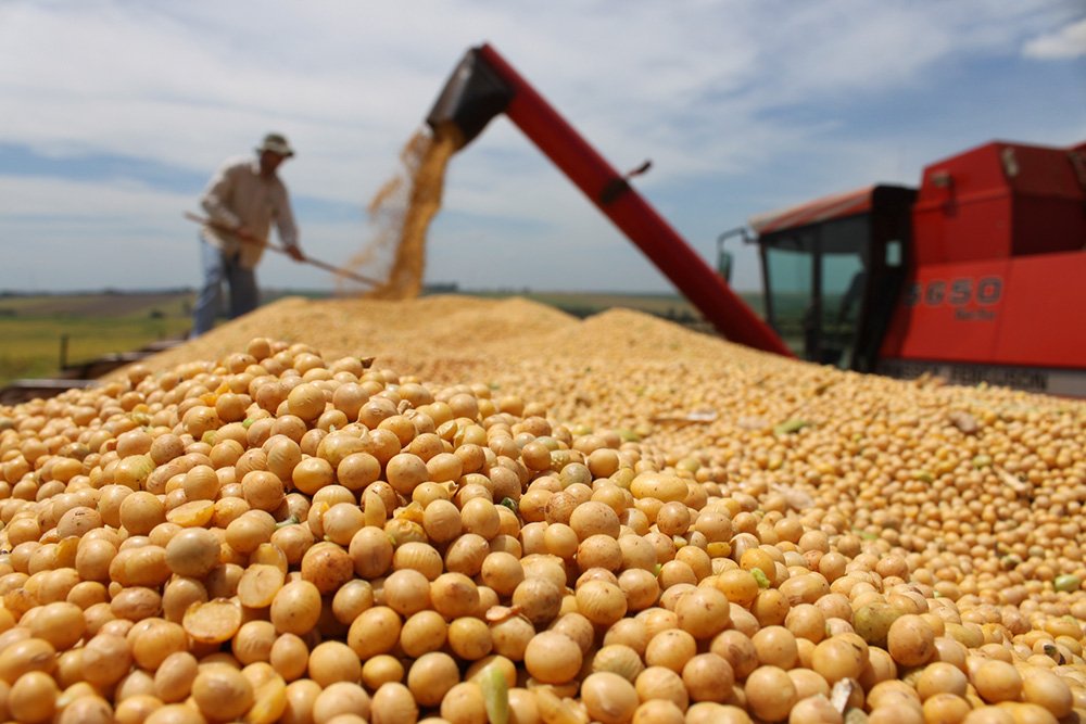 Productores de oleaginosas piden que se respete “mercado abierto” de precios de fletes