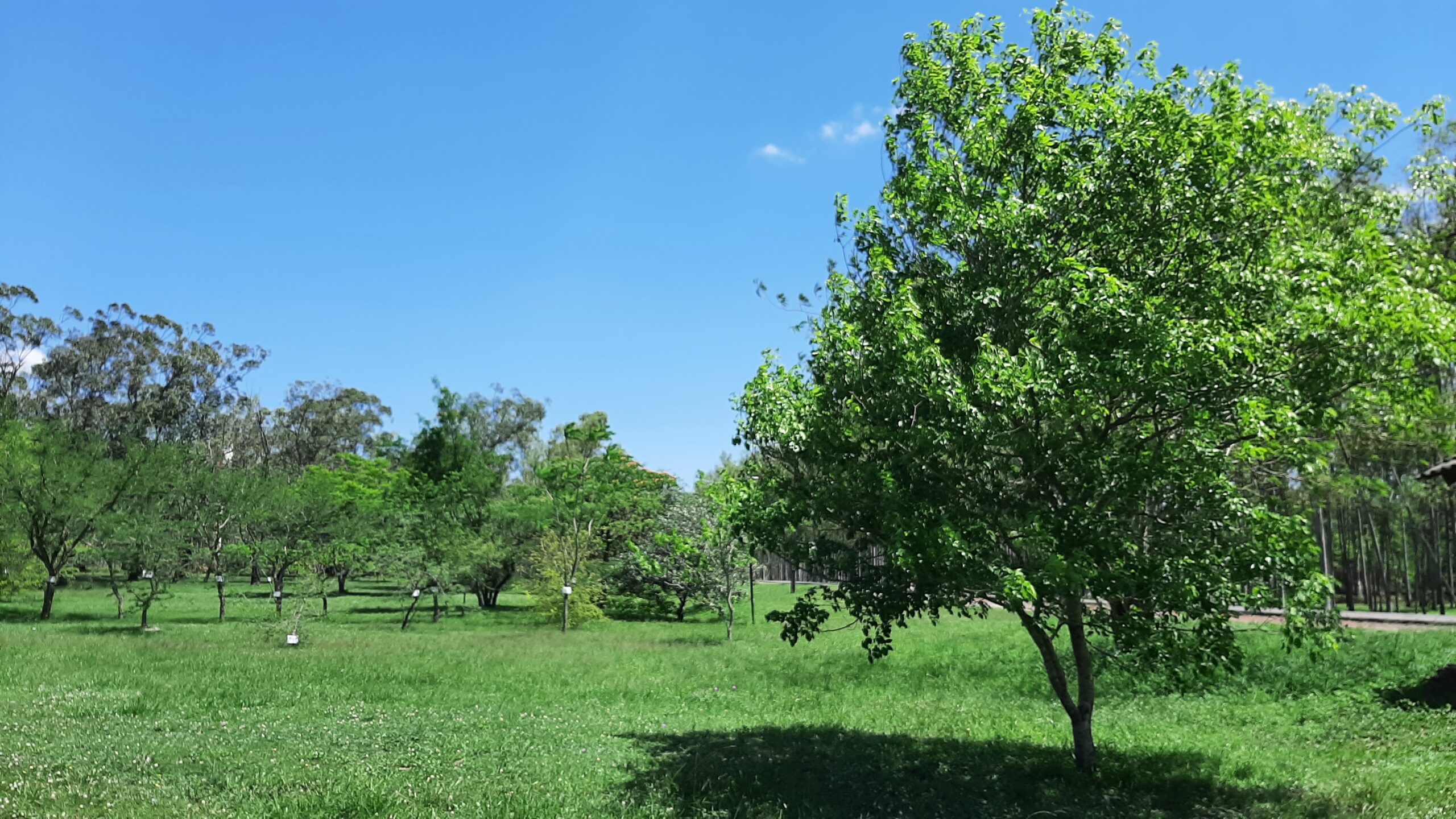 Anuncian lunes fresco a cálido y soleado