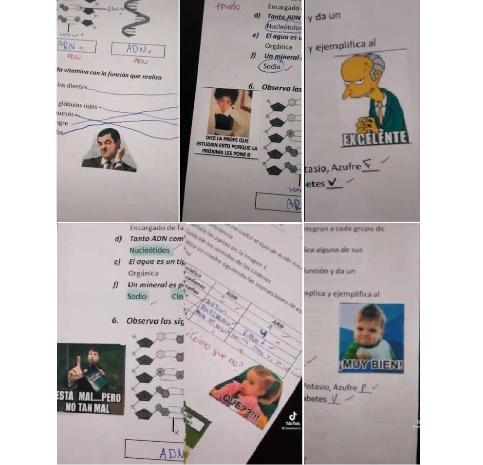 El ingenio de una profesora: Califica tareas de sus alumnos ¡CON MEMES!