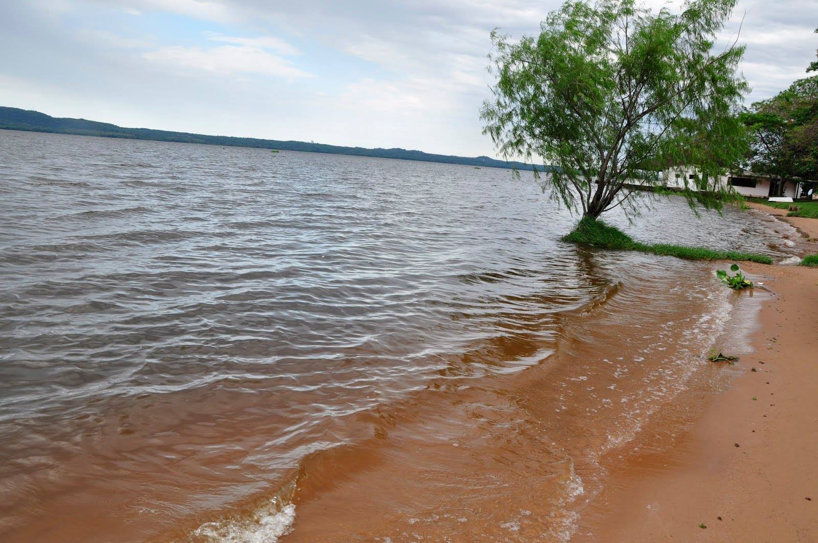 Aumentó contaminación del Lago Ypacaraí, pero aún “no es alarmante”