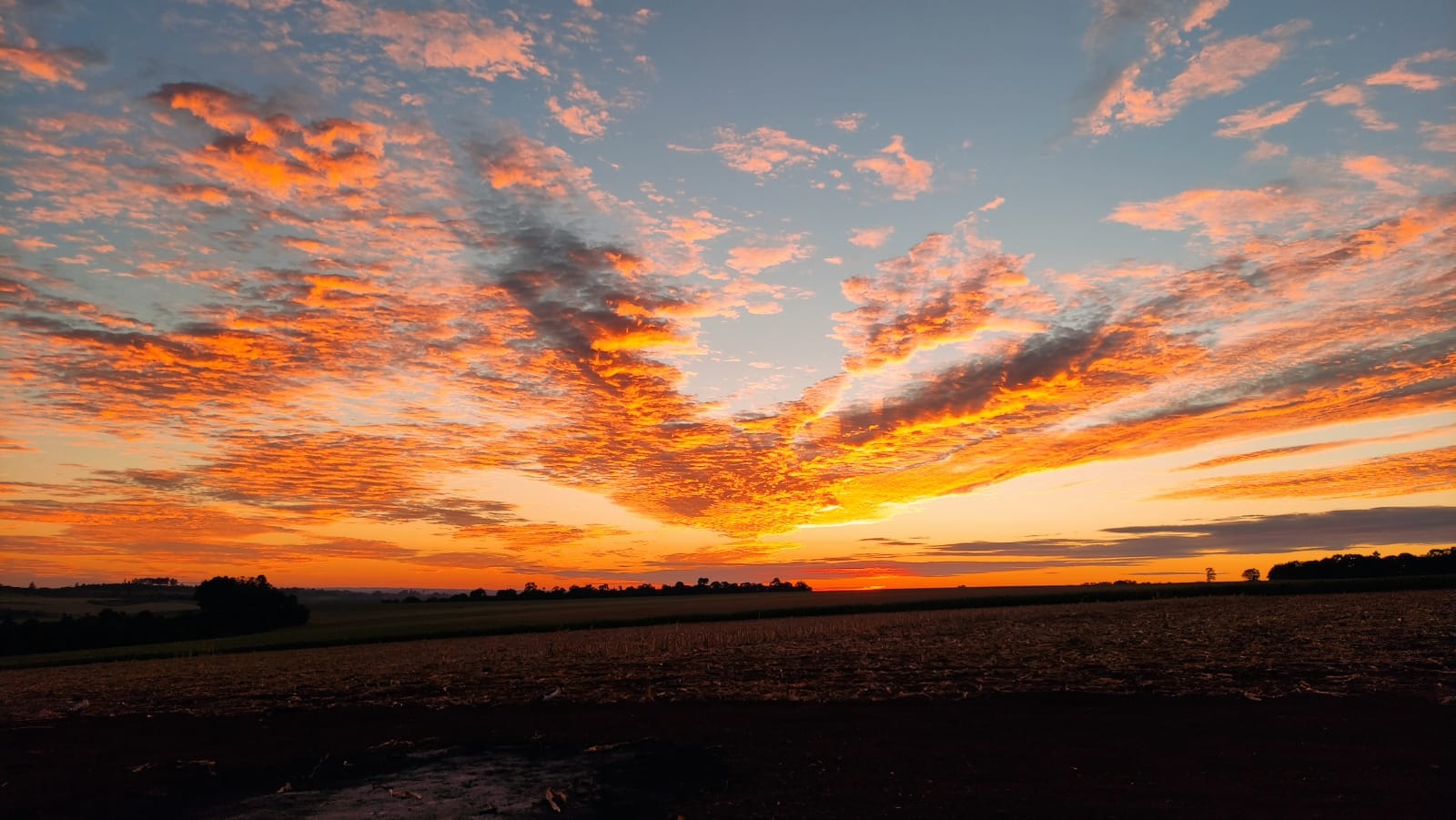Meteorología anuncia lunes caluroso