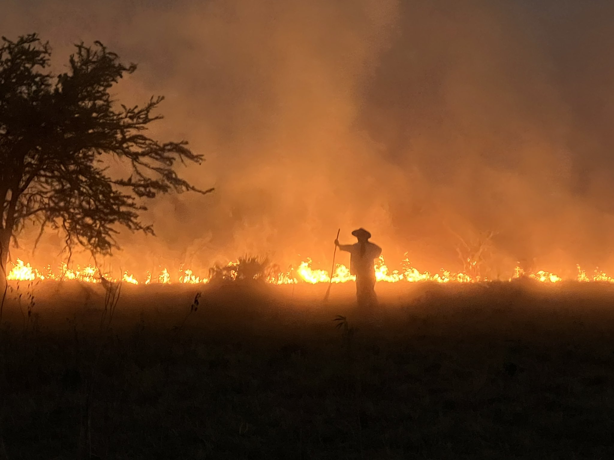 Tres años continuos de “incendios insoportables”, denuncia WWF Paraguay