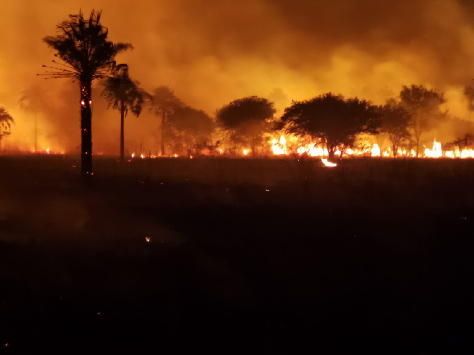 “El 99,9% de los incendios son provocados”