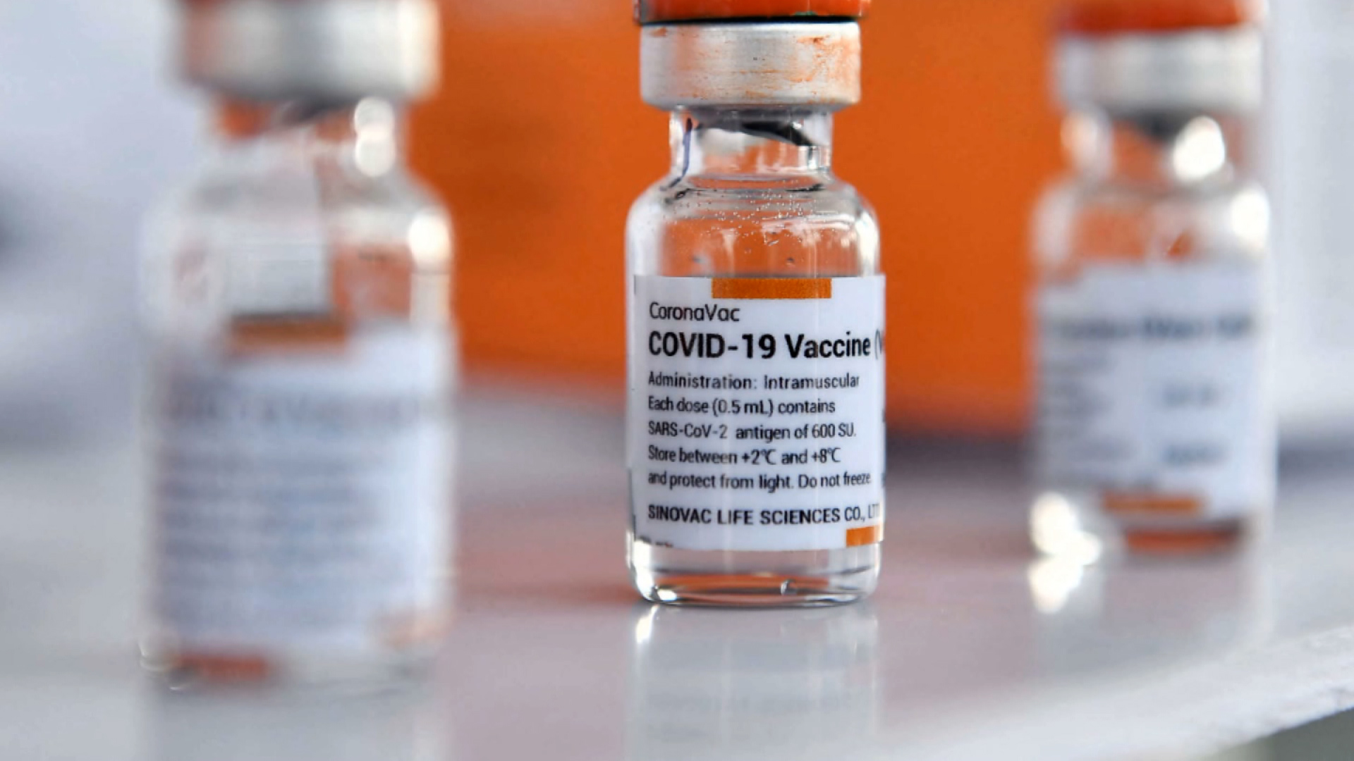 Aprobación de Coronavac por parte de ANVISA aceleraría llegada de vacunas desde Brasil, según DINAVISA