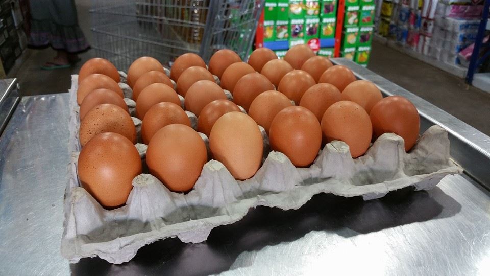 Contrabando y sequía azotan producción de huevos