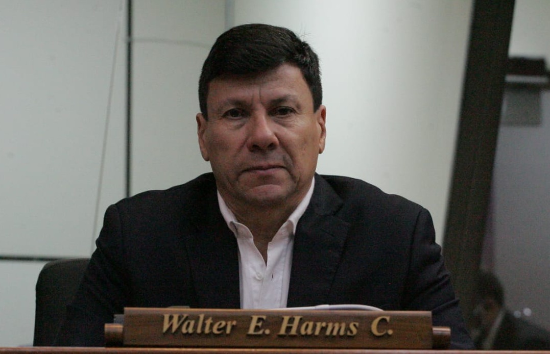 Diputados oficialistas “traicionaron” al Partido Colorado, según Harms