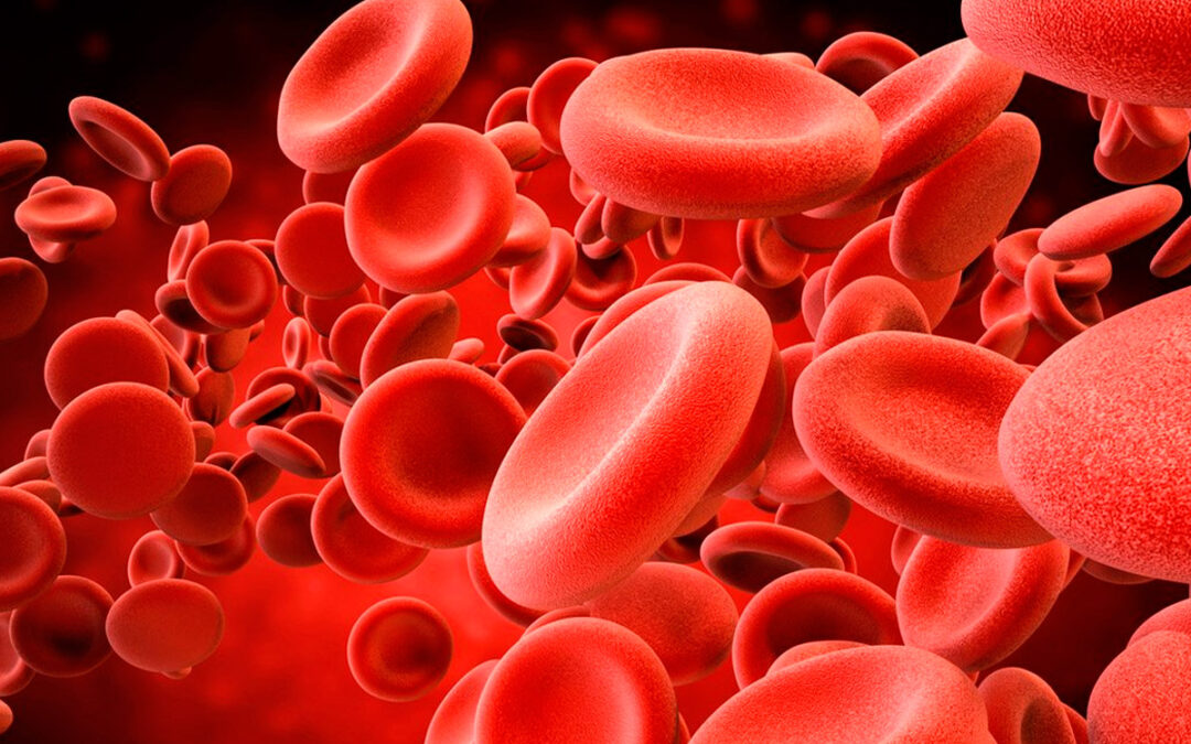 Hemofilia: Médico recomienda tratamiento adecuado para llevar una vida saludable