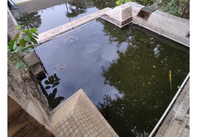 Residencia fue intervenida por comuna asuncena por tener piscina con aguas verdes y malezas