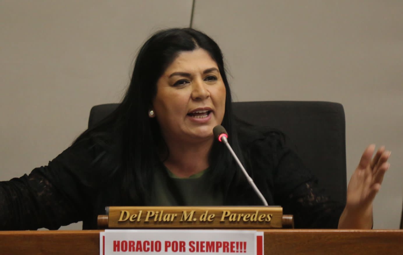 Diputada Pilar Medina: “Yo no soy perrita de nadie”