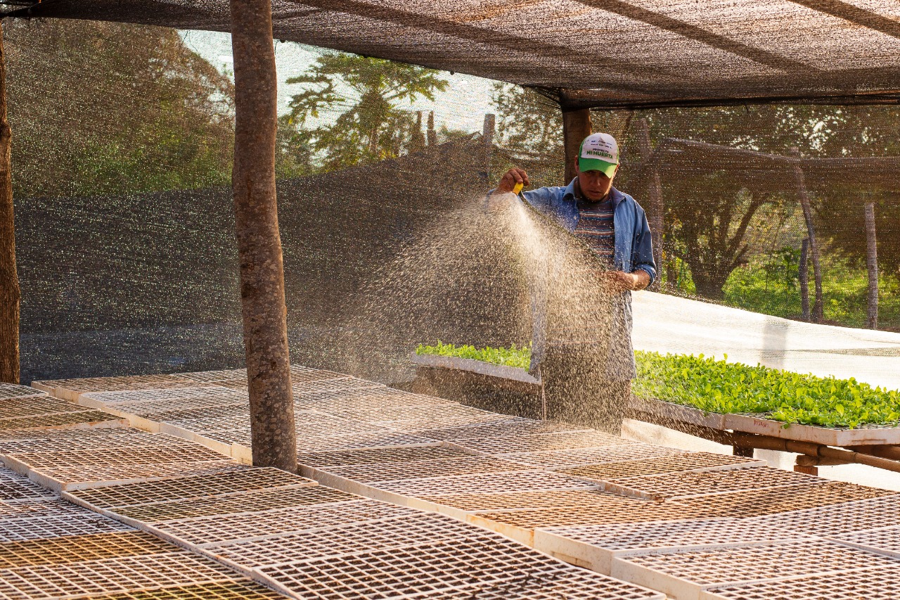  Producir más con menos: una oportunidad para el país desde el enfoque de la agricultura climáticamente inteligente