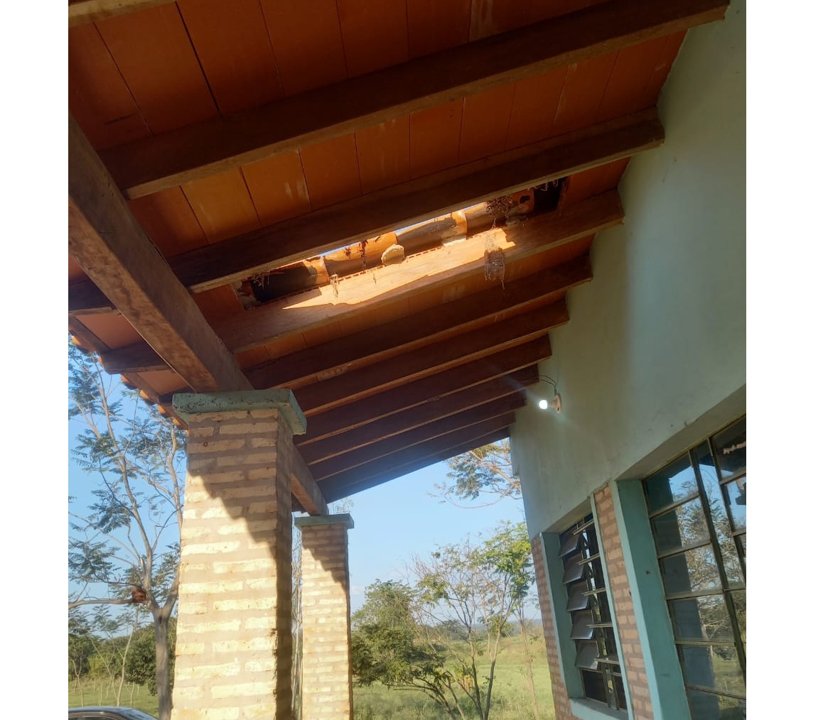 Se cayó el techo del colegio y los alumnos tienen que dar clases bajo árboles