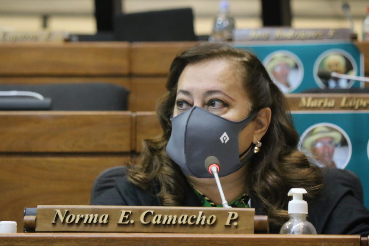 Diputada pide que Hacienda cree una instancia para que ciudadanía presente proyectos