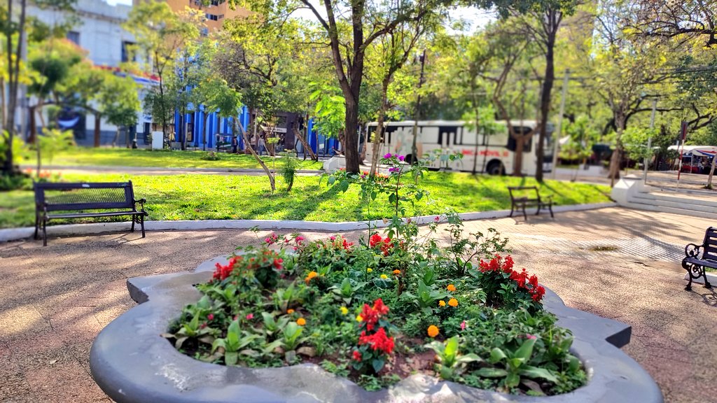 Hermoseamiento de plazas de Asunción estaba “en agenda desde hace dos meses”, según municipalidad