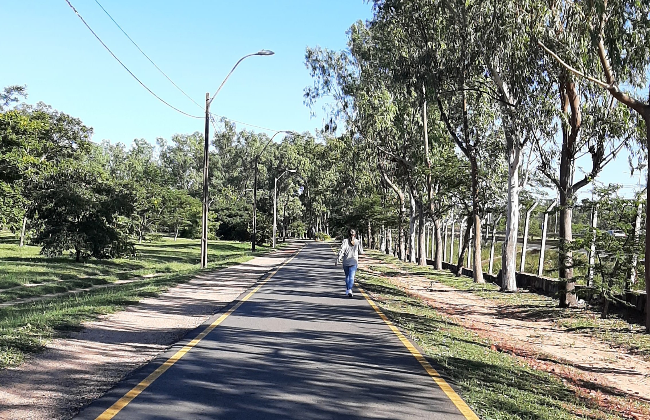 Pronostican miércoles fresco a cálido y soleado
