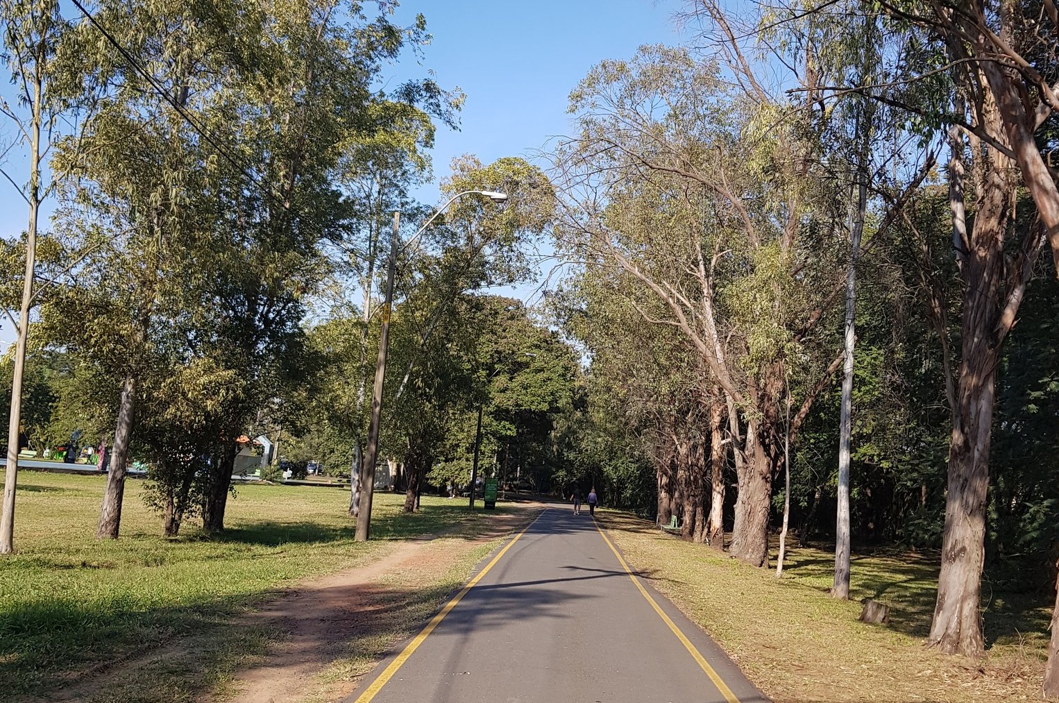 Anuncian miércoles cálido a caluroso y soleado