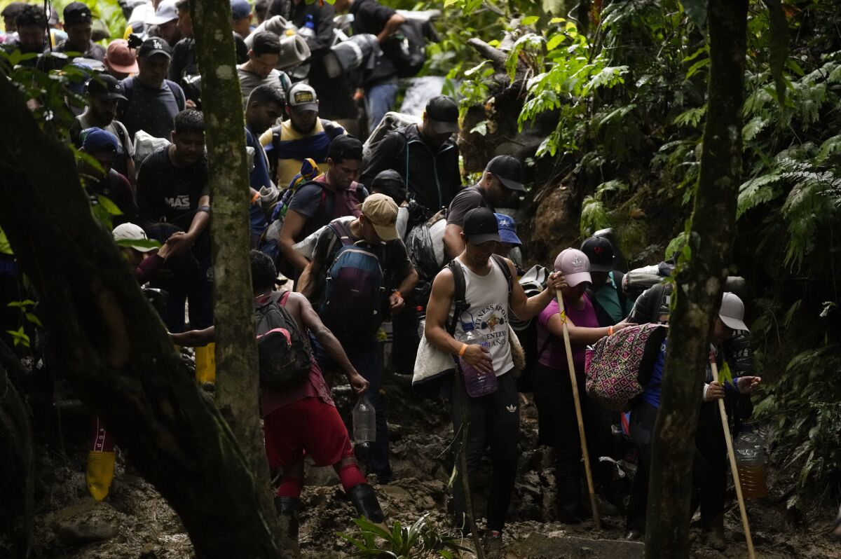 Casi 250.000 migrantes cruzaron selva del Darién en 2022