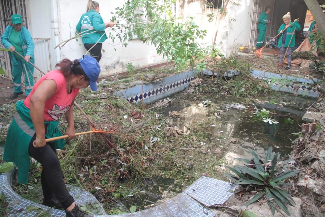 Municipalidad de Asunción continúa con intervenciones de viviendas con agua estancada en piscinas y malezas