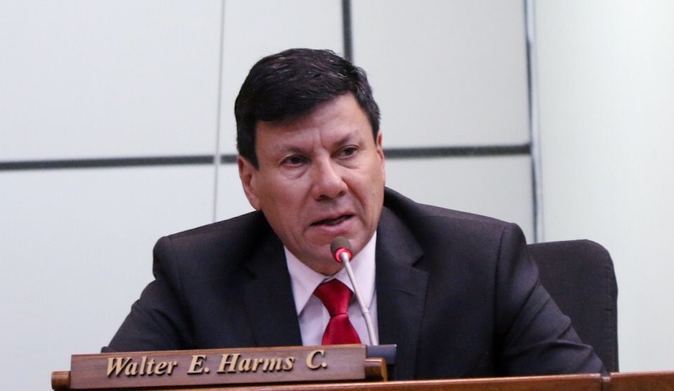 “Los intereses del Partido Colorado están por encima de los particulares”, dice Harms