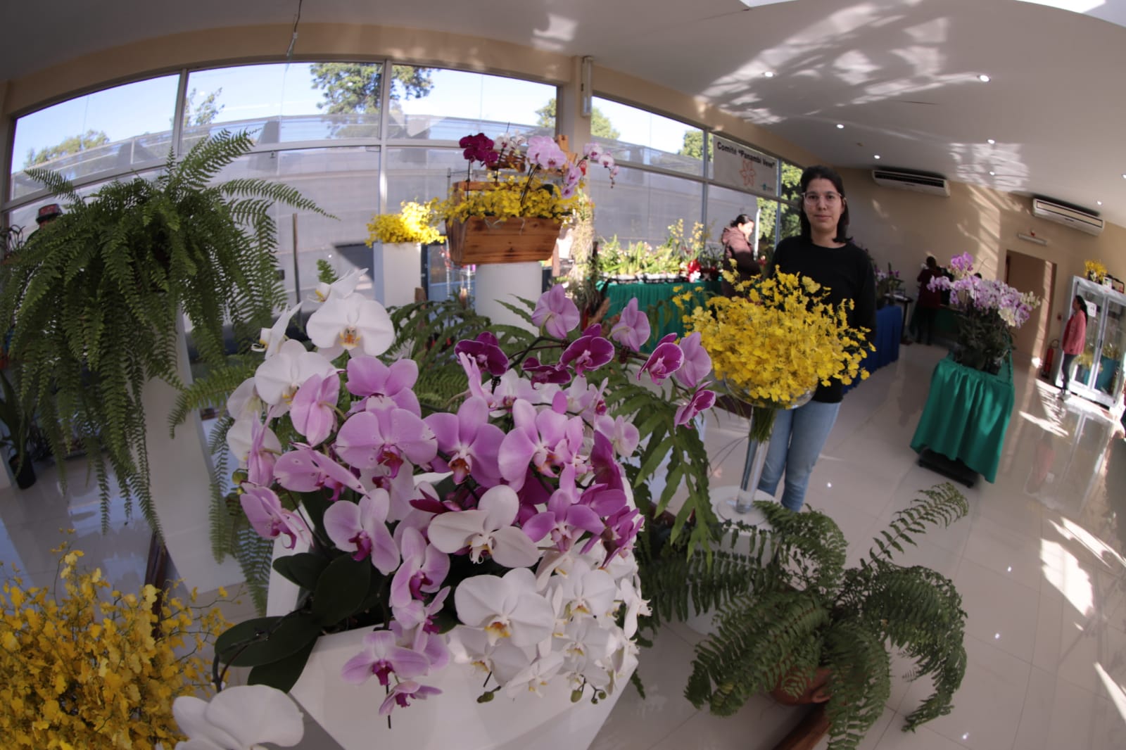 La Expo Feria de Orquídeas por el Día de la Madre prosigue hasta este domingo