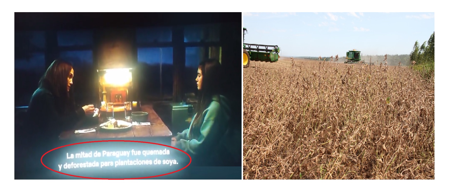 Productores desmienten a Jennifer López sobre supuesta “quema de la mitad de Paraguay para plantaciones de soja”