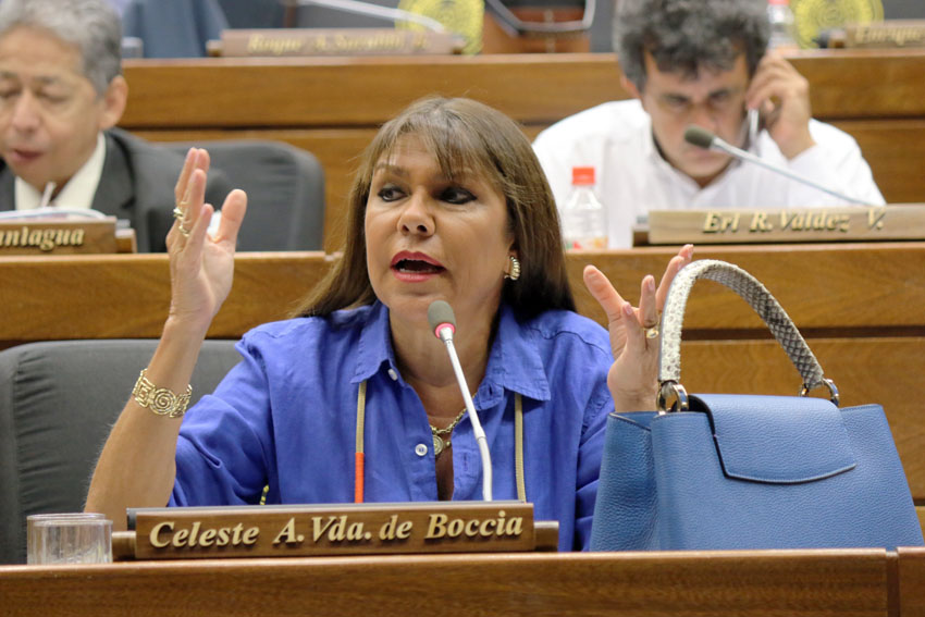 Celeste Amarilla anuncia querella contra ‘Nenecho’