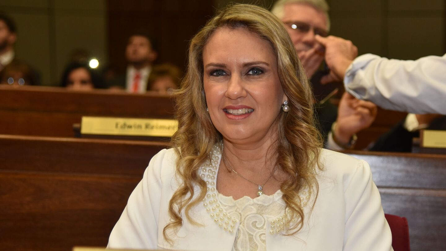 Senadores y diputados no pueden fiscalizar ONGs, asegura Rocío Vallejo
