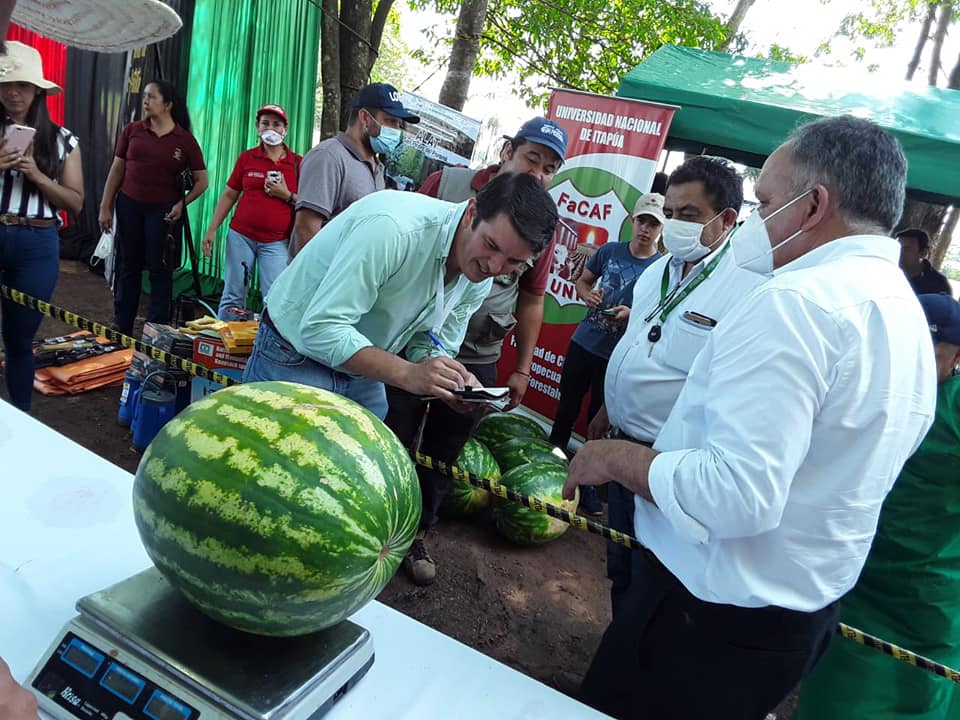 Productores ofrecen sandías a partir de G. 3.000