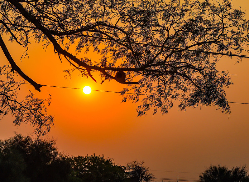 Sigue el calor pero con leve descenso de temperatura