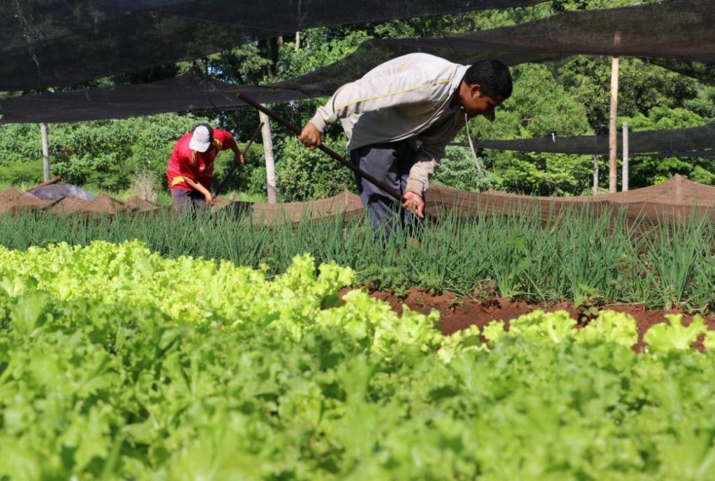 Buscan fomentar el consumo de producción nacional