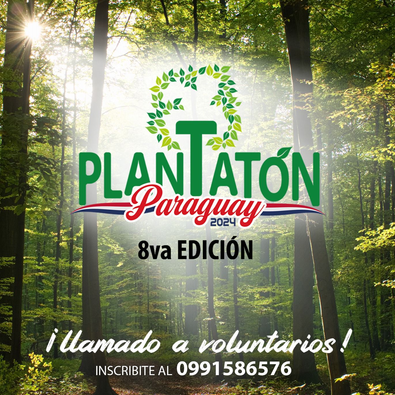 Llega la “Plantatón” en su octava edición