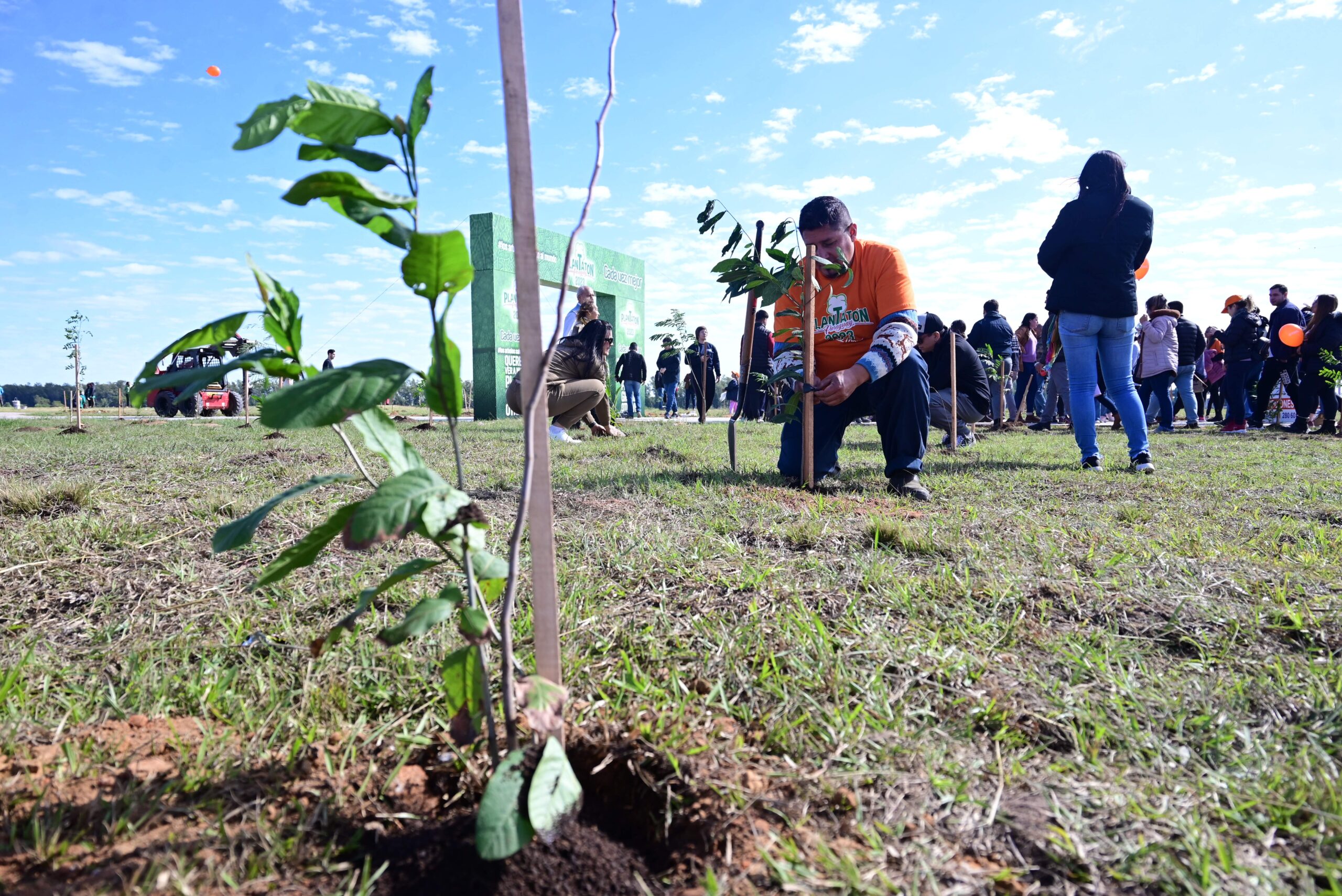 Siguen los preparativos para la “Plantaton”