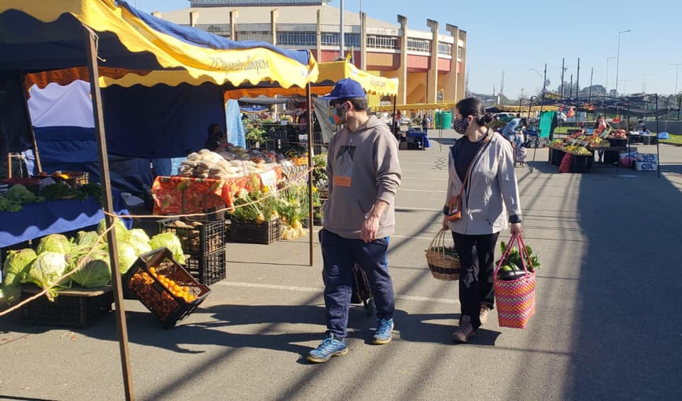 Feria en Concepción se realizará este viernes