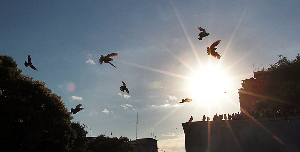 Meteorología anuncia que llegaremos a los 30 °C