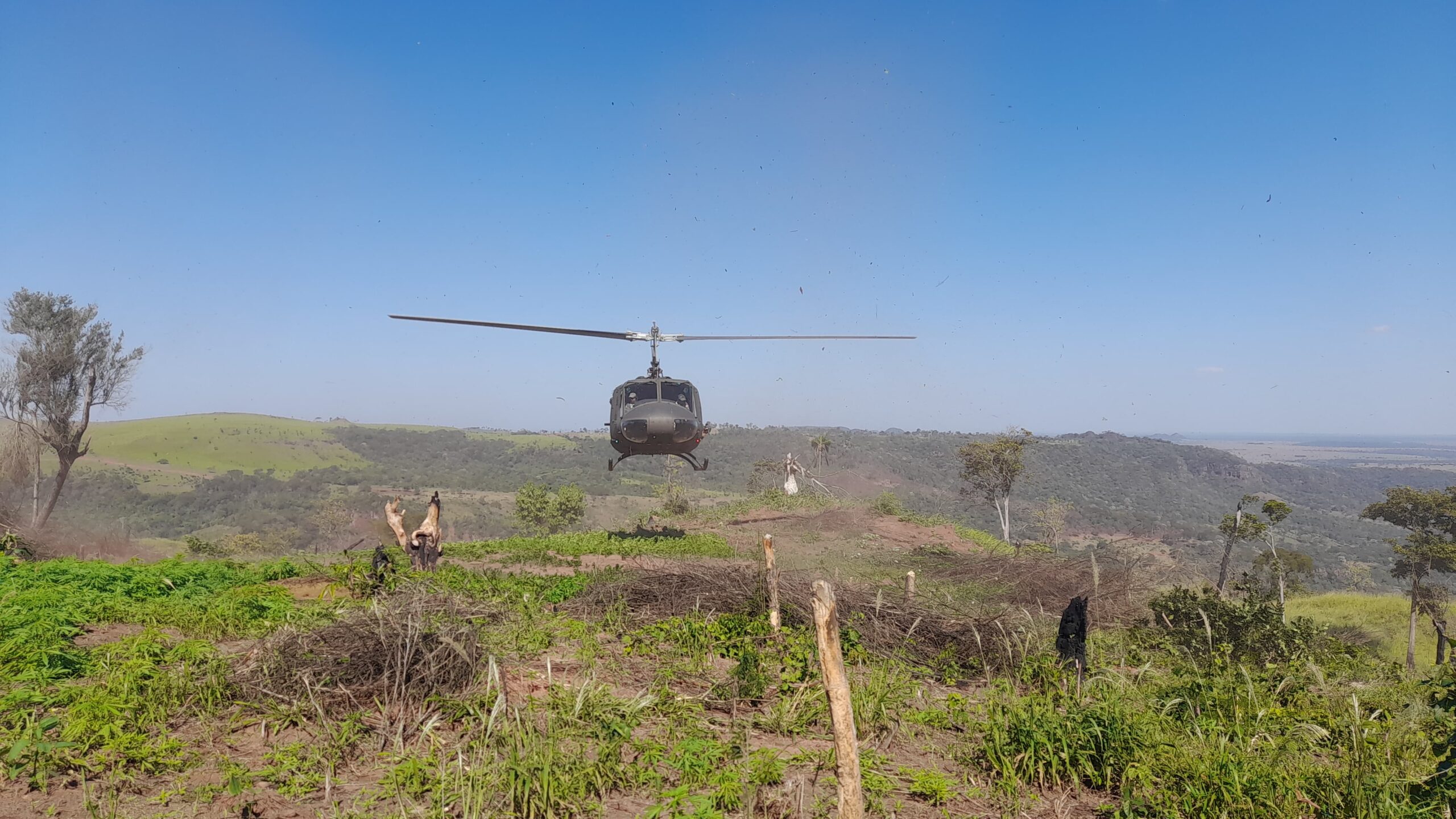“Nueva Alianza 44” anuló 517 mil kilos de marihuana en 6 días