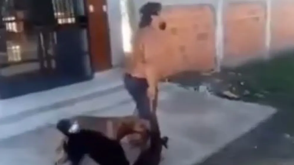 se ordenó el envío a emboscada del hombre que degolló a un perro en Nanawa
