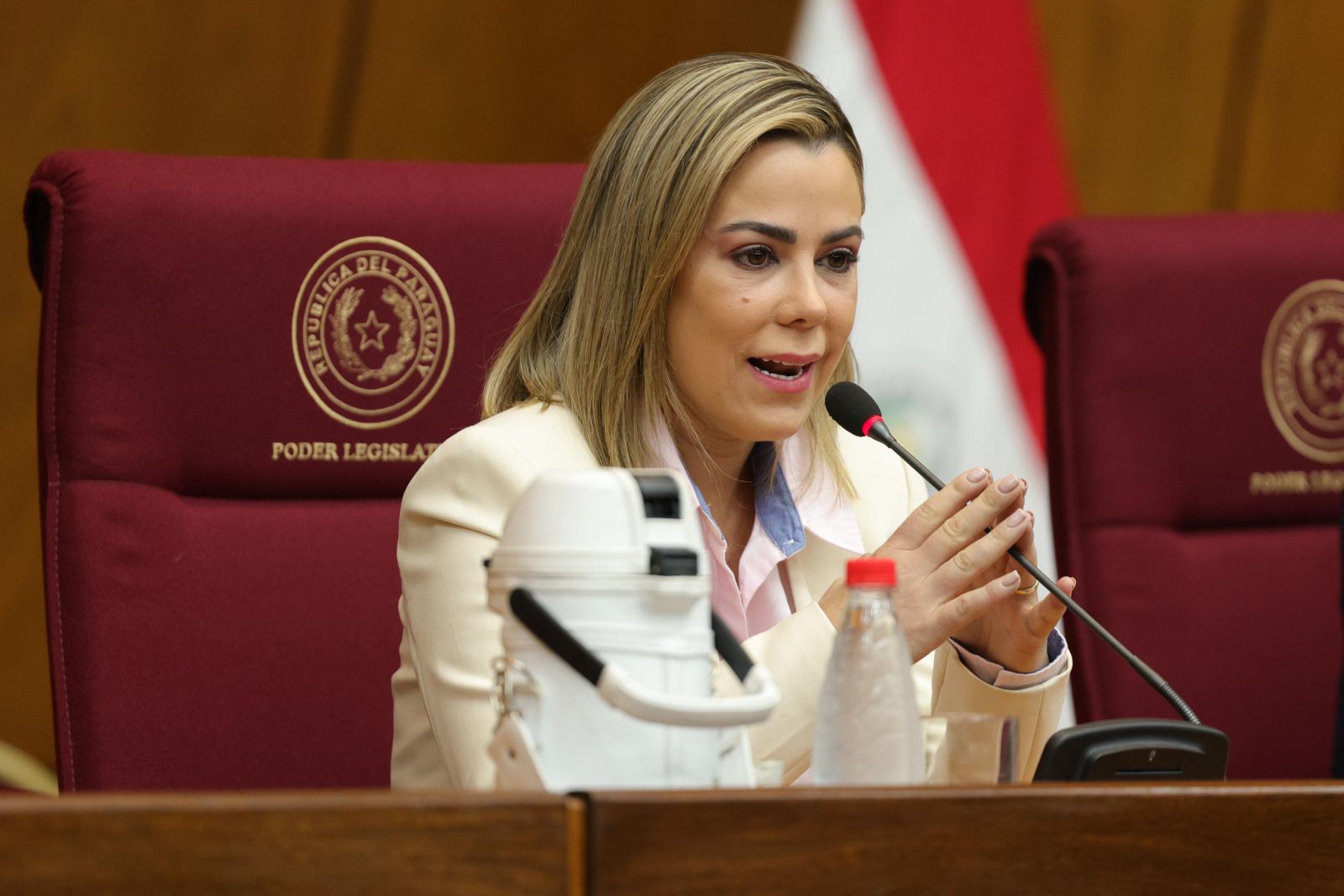 Contraloría pidió informes sobre declaración de Lizarella