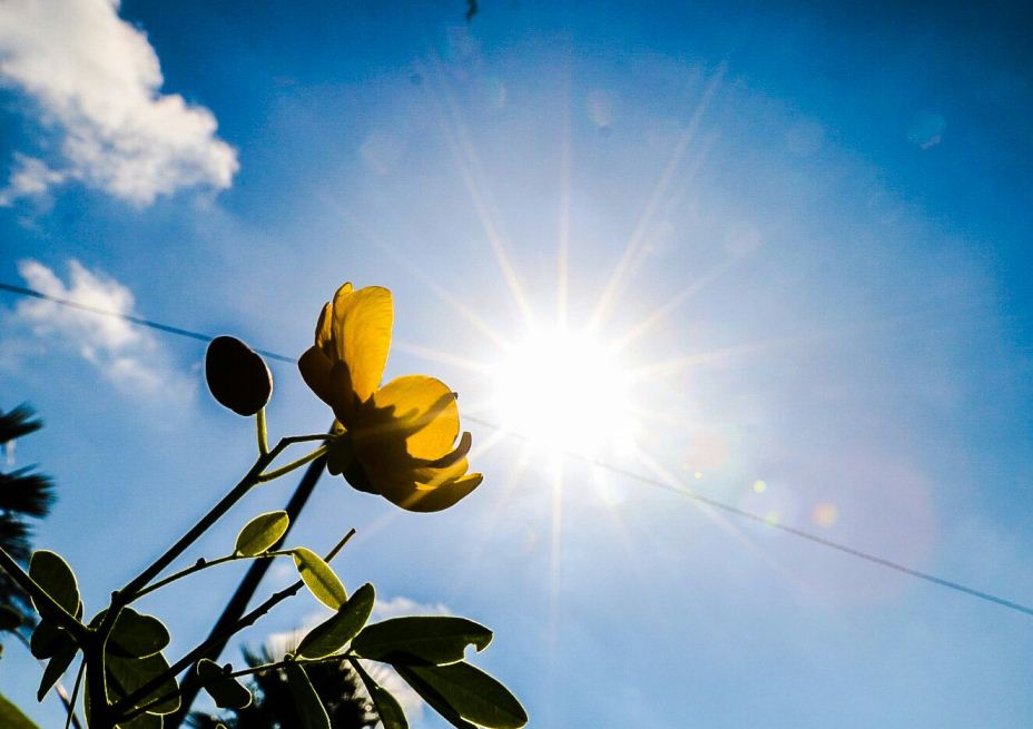 Meteorología anuncia día cálido con 30°C