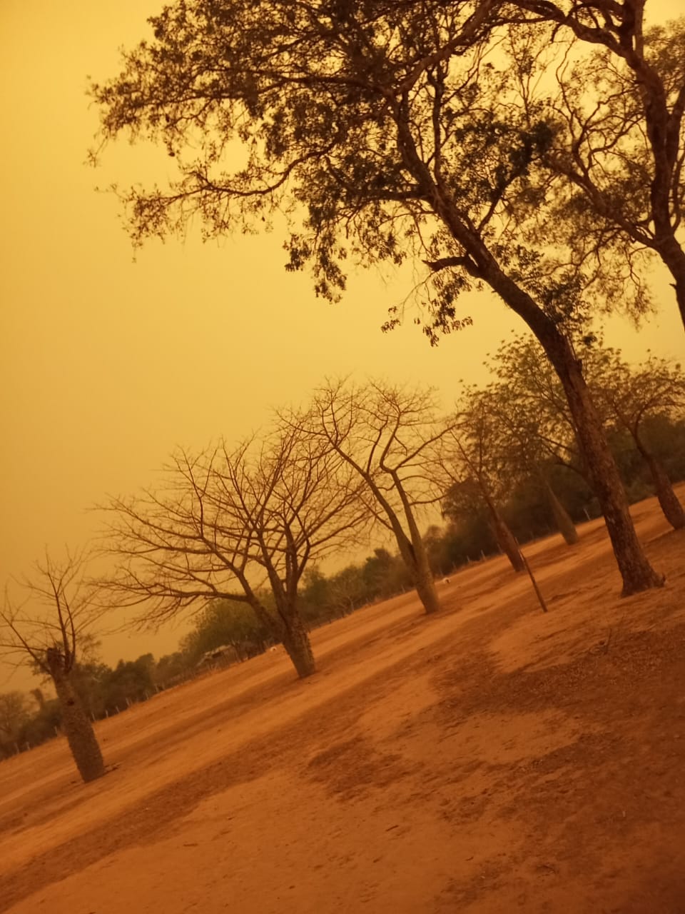 Entre el calor y la contaminación